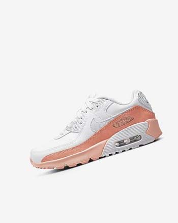 Nike Air Max 90 LTR SE Blancos Azules | MX 4505